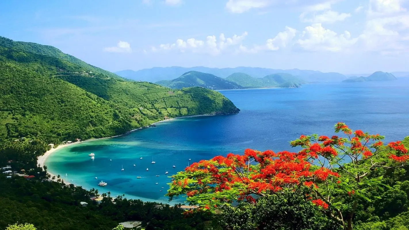 高性能绿色高质量
